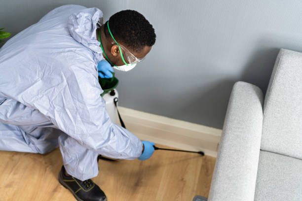 Best Fumigation Services  in Mount Vernon, IL